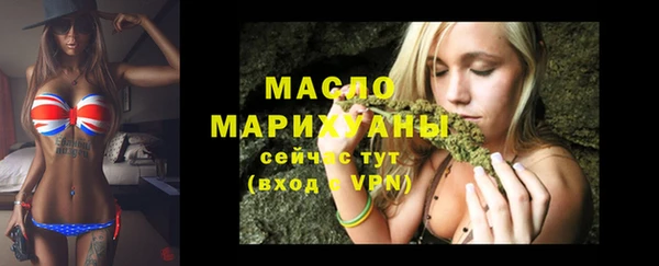 крисы Надым