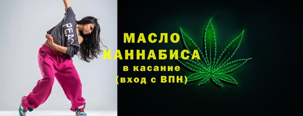 крисы Надым