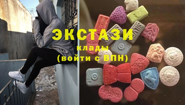 крисы Надым