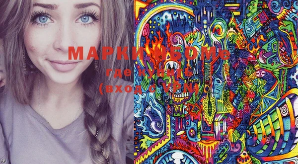 крисы Надым