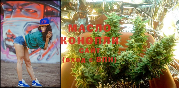 крисы Надым