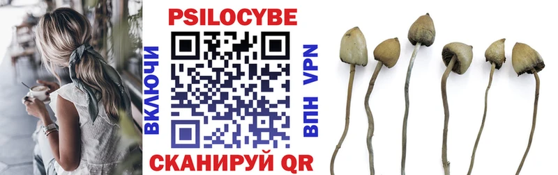 Псилоцибиновые грибы прущие грибы Купить закладки Гусь-Хрустальный